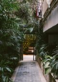 A path between a leafy row of trees and a concrete building.